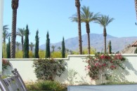 1 Patio Picture