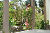 1 Patio View