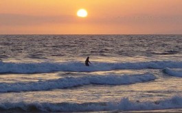 240 Remarkable Hermosa Beach Home Right Next to Beach