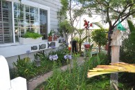 2 Front-Yard